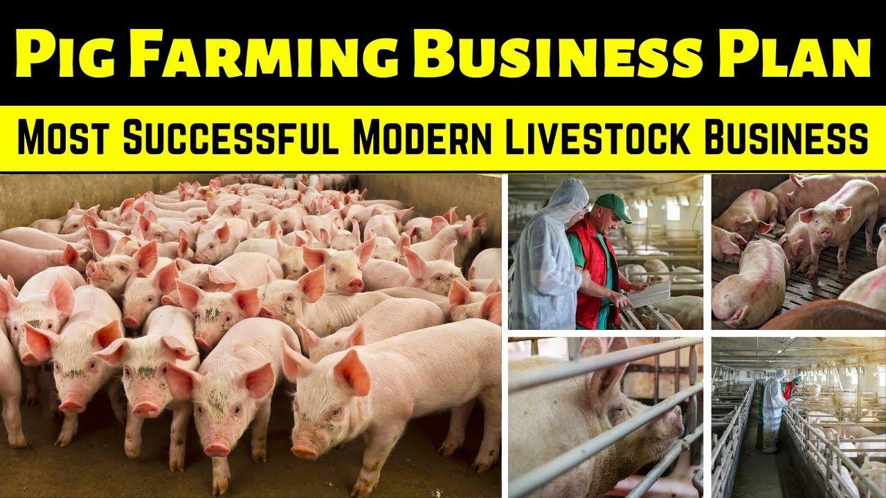 A Little Free Advice for Pork Producers in 2025 – Pork Business