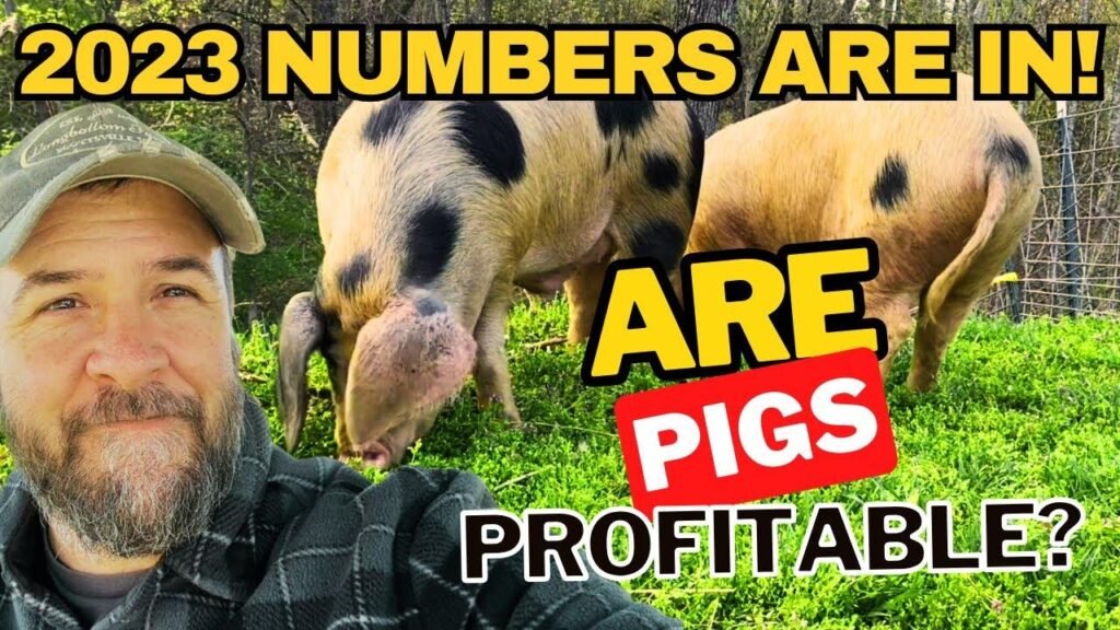 Will Pig Farmers Return to Profitability Next Year?