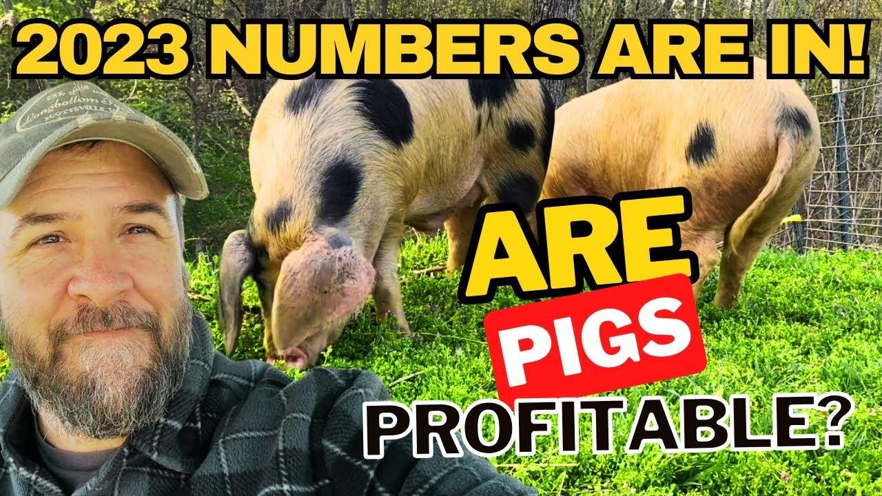 Will Pig Farmers Return to Profitability Next Year?