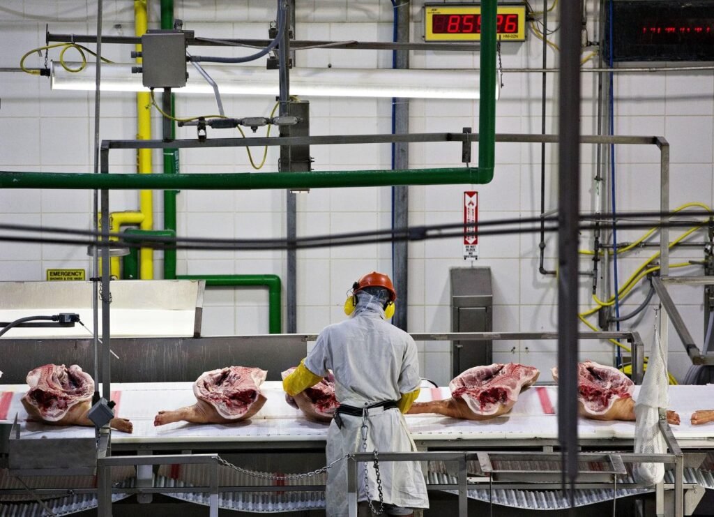 Beneath Chinese Ownership, Smithfield Foods Faces Scrutiny for Pollution and Price-Fixing Issues
