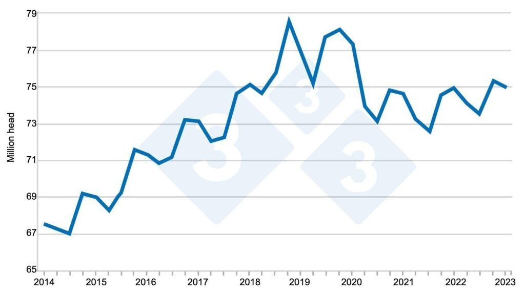 2025 Pork Output Set to Decline According to Latest Swine Inventory Data