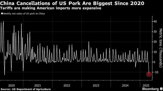 China Cancels Record-Breaking American Pork Orders