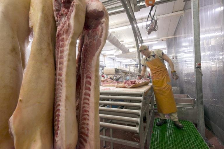 USDA to Make Pork Processing Line Speeds Program Permanent