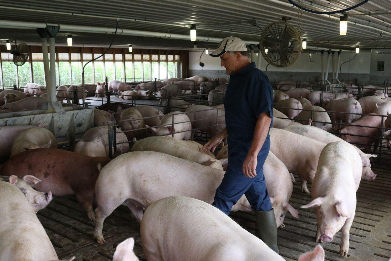 Pork Producer Prepares for Nasdaq Stock Offering