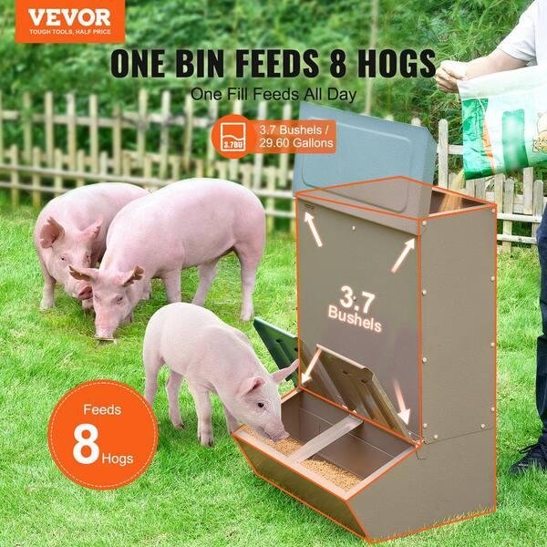 Cash Feeder Pig Prices Average $82.94, Up $0.13 Last Week