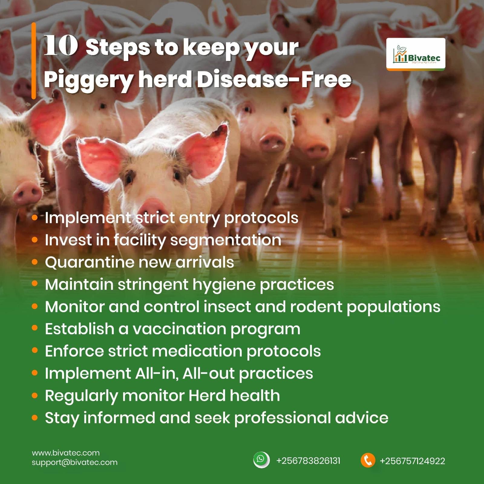 Strengthening Biosecurity Protocols While Maintaining Efficient Production Flow