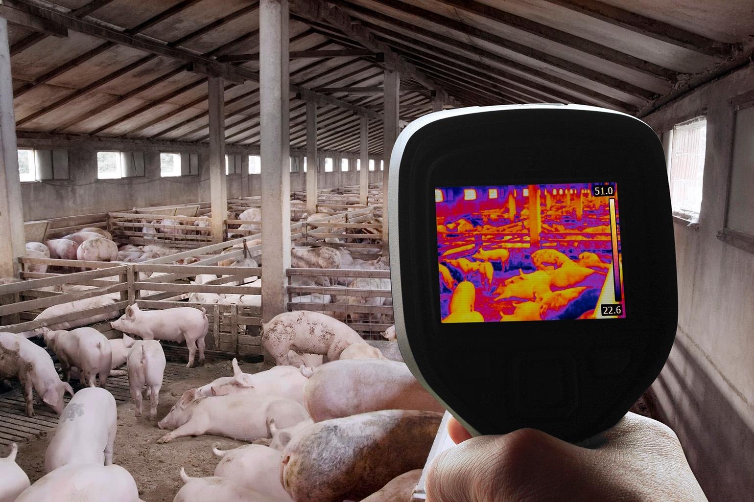 Essential Risk Management Tools and Financial Planning for Sustainable Herd Expansion