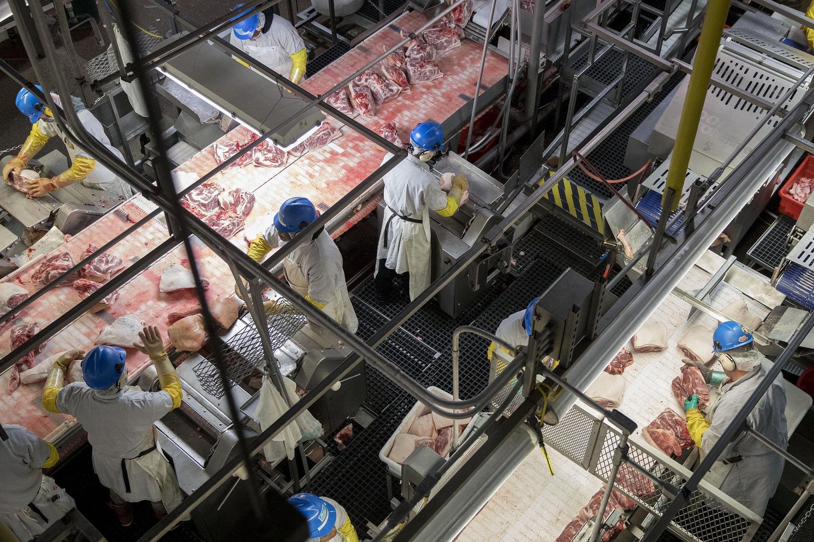 pork production facility