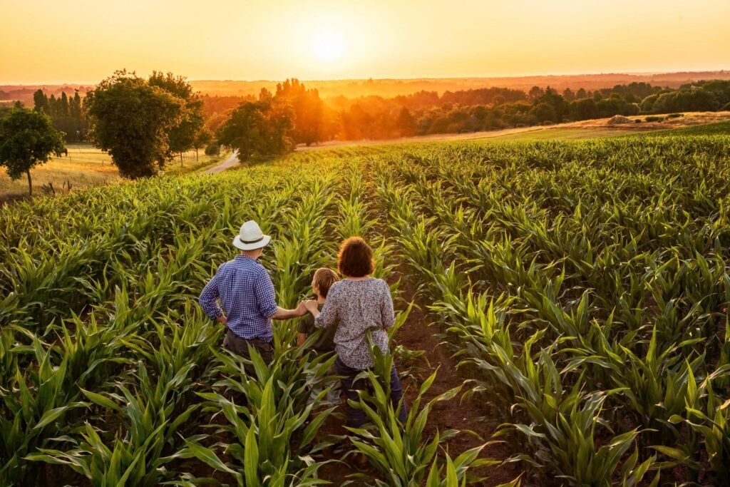 Rural Success Story: Family-Owned Farm Thrives Through Innovation