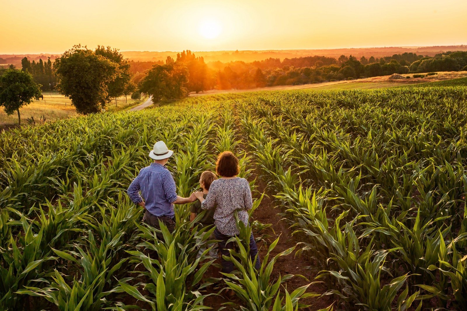 Rural Success Story: Family-Owned Farm Thrives Through Innovation