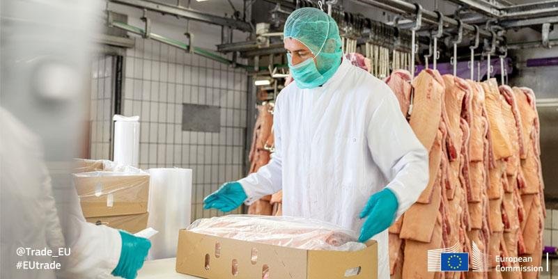 Disease Outbreak Worsens Challenges for German Pork Export Industry
