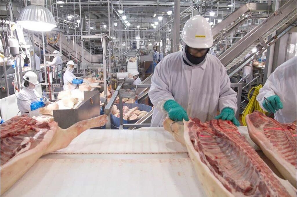 Extended Waivers Allow Pork and Poultry Facilities to Maintain Higher Line Speeds