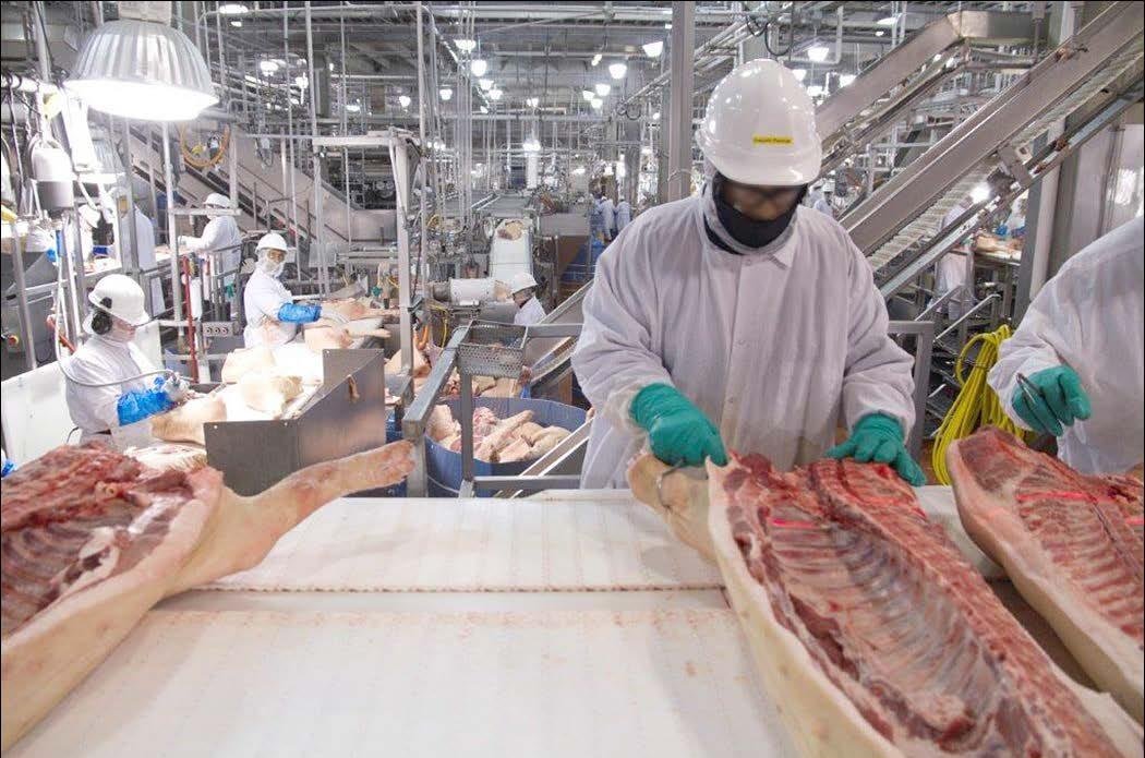 Extended Waivers Allow Pork and Poultry Facilities to Maintain Higher Line Speeds