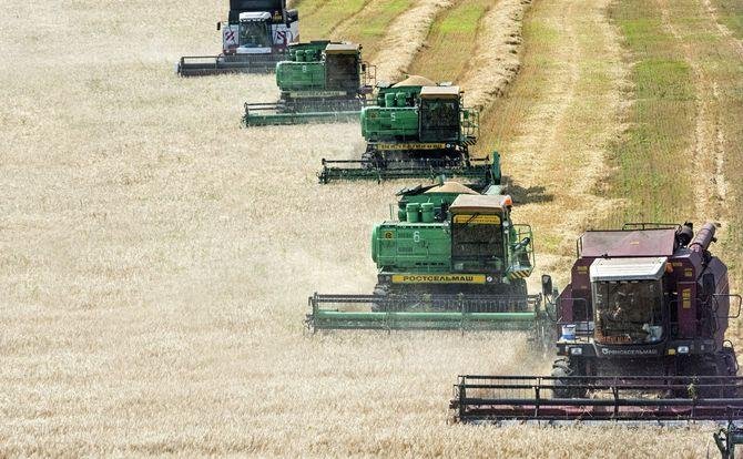 Russia’s Pork Industry Consolidates as Major Agribusiness Expands Production Portfolio